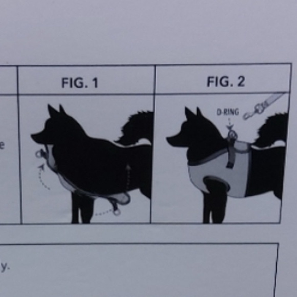 NWT [Vibrant Life] Girly Pink Striped Lace Collar Buckle Dog Harness Sz Small - Picture 7 of 7